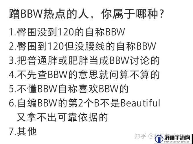 什么是 BBWHDD？BBWHDD 为何如此重要？全面解读 BBWHDD 的意义与价值