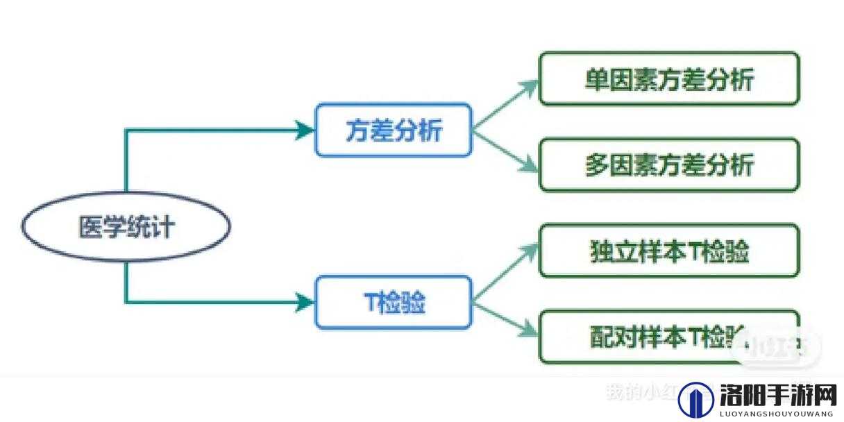 津影通T类有哪些最新功能？全面解析津影通T类的性能提升与应用场景