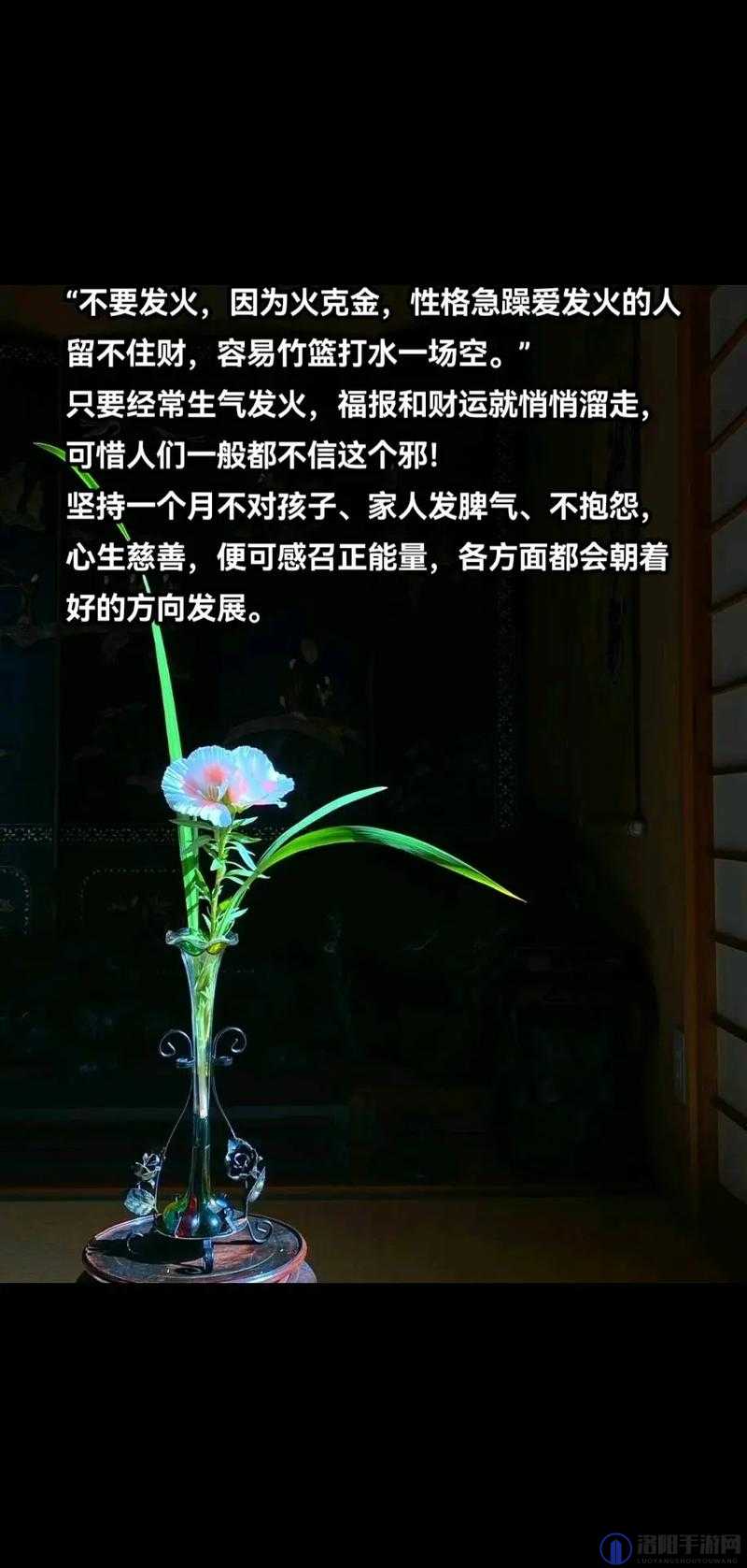 黑色正能量:探索未知,寻找方向,永远不迷路