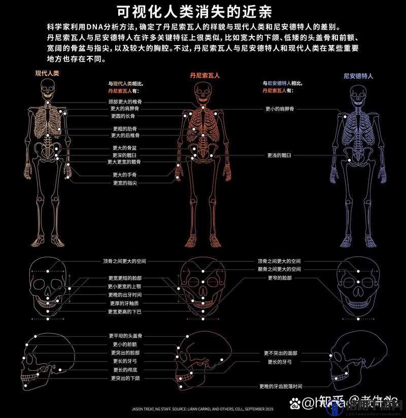 亚洲人和欧洲人基因有差异吗？科学家揭示答案