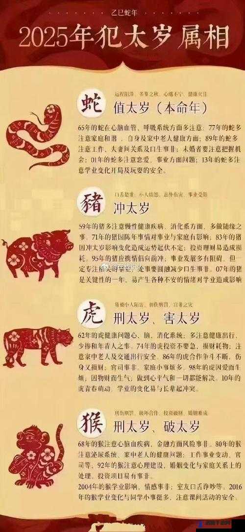 太九究竟是什么？探秘太九的起源、特点与价值，你了解多少？