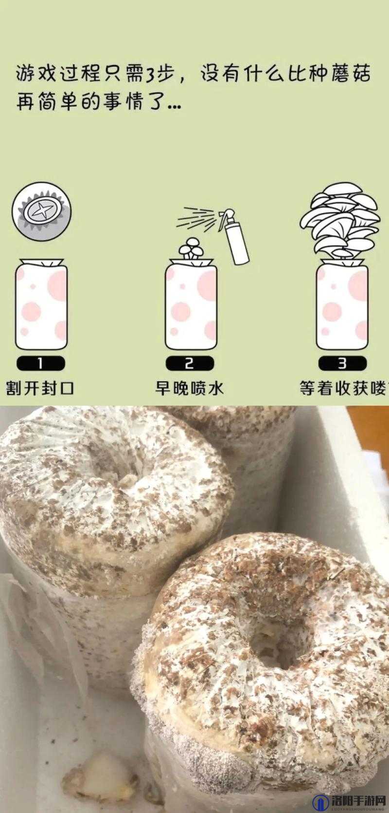 如何制作 9i 果冻制作厂蘑菇？教你轻松上手的制作方法
