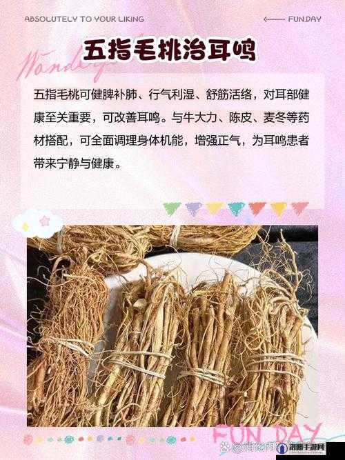 五指毛桃真的有补肾作用吗?带你深入了解五指毛桃的功效之谜