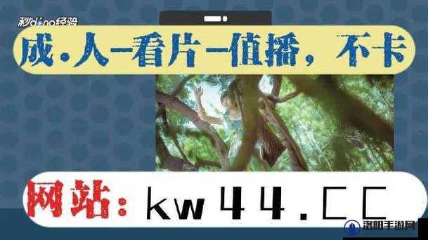 香蕉视频影院天天看怎么样?真的能让我们随时享受精彩影视吗?快来一探究竟