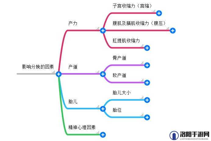 护士自己生孩子的真实经历分享：从专业角度解析分娩过程与护理要点