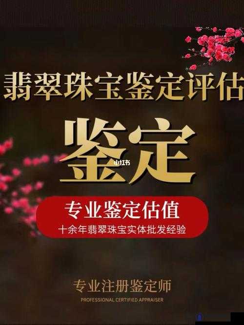 鉴定师app免费网站大全官网:全面解析鉴定师应用与免费资源一站式指南