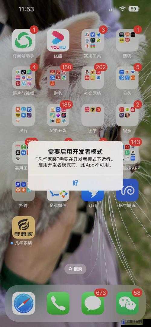 如何在手机上安装 xvidos 手机安装包？