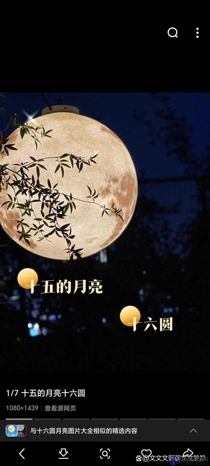 十五的月亮十六圆：揭秘中国传统节日的月亮传说与文化内涵