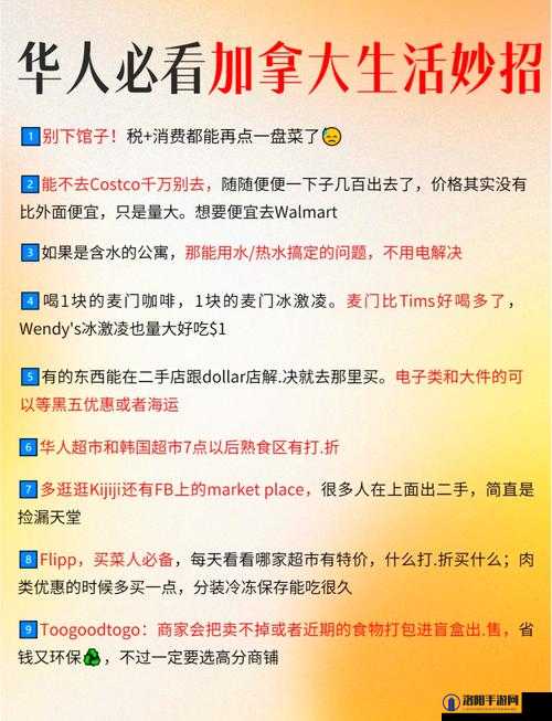 海外华人如何利用免费资源提升生活质量？实用指南与经验分享