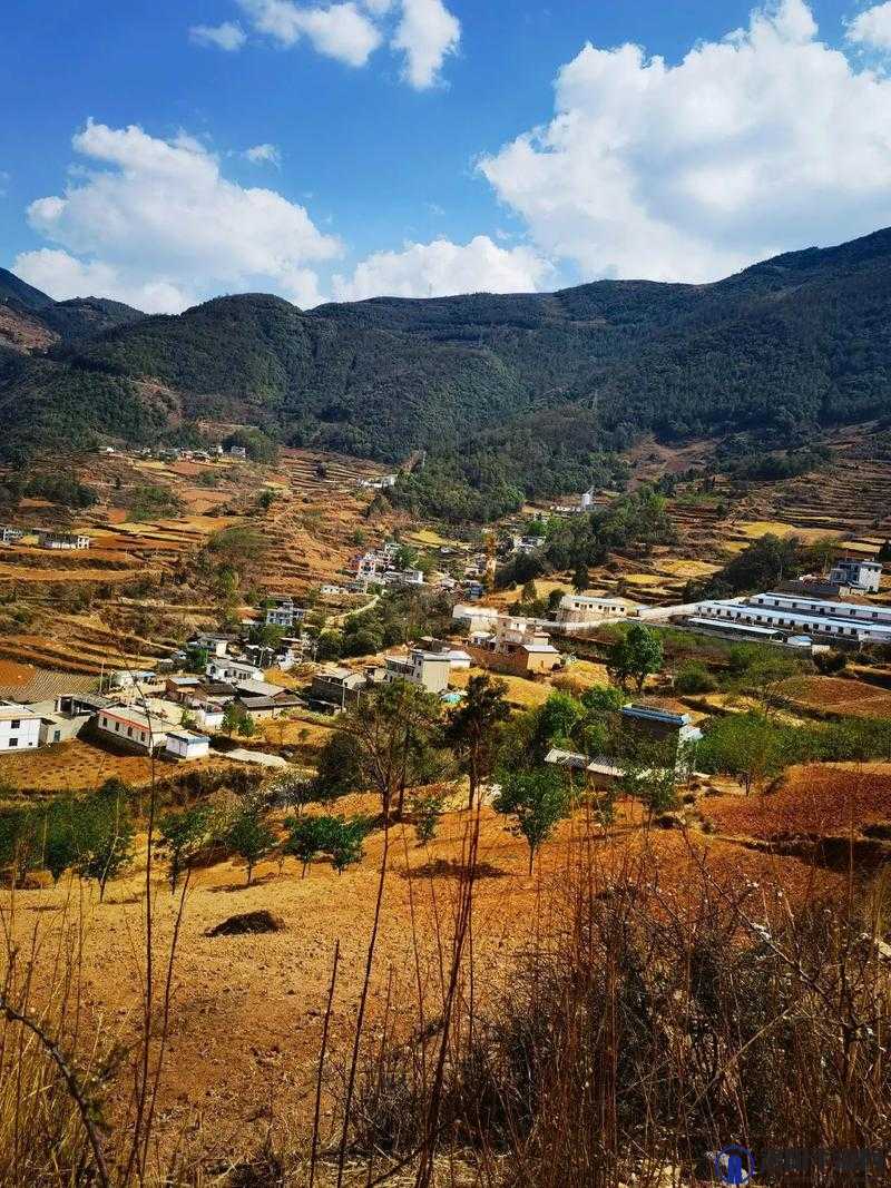 山里人家天福天送：探寻自然与生活的和谐之美