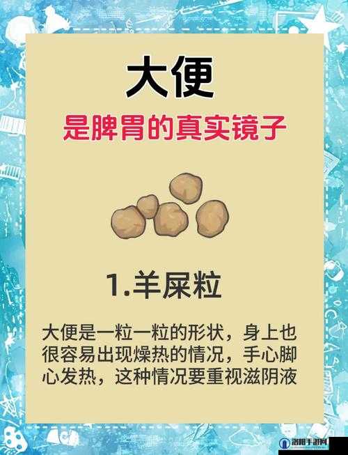 粪を食べ行きは大便生成：探索人类消化系统的奥秘与健康饮食的关系