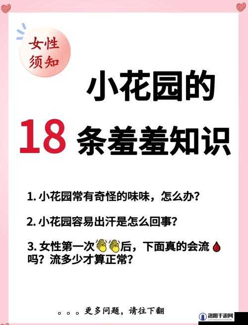 如何让自己的小花园出水？这些方法或许能帮到你