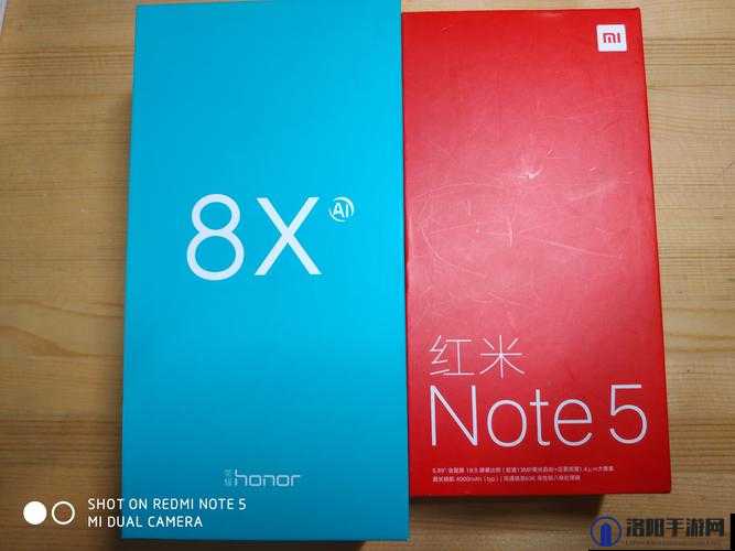 8ⅹ8x国产海外精品都有哪些值得关注？全面解析8ⅹ8x国产海外精品特点