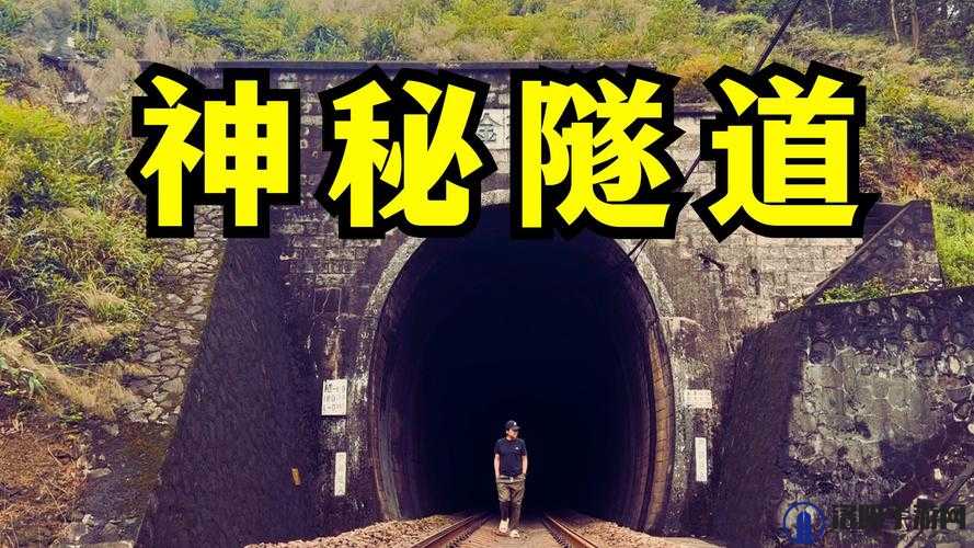 探索秘密通道的隐藏入口:揭秘神秘路径背后的历史与传说
