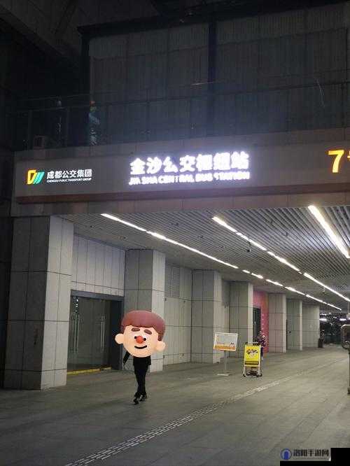 在哪里可以找到金沙总站 6165 的地址？