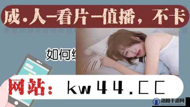 探索仙踪林成年人网站入口：安全观看指南与隐私保护技巧分享
