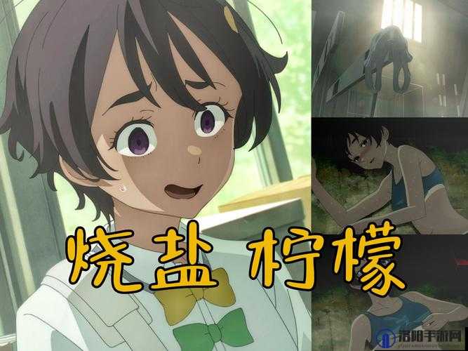 动画盐之女神在哪儿看？前六集动画已上线