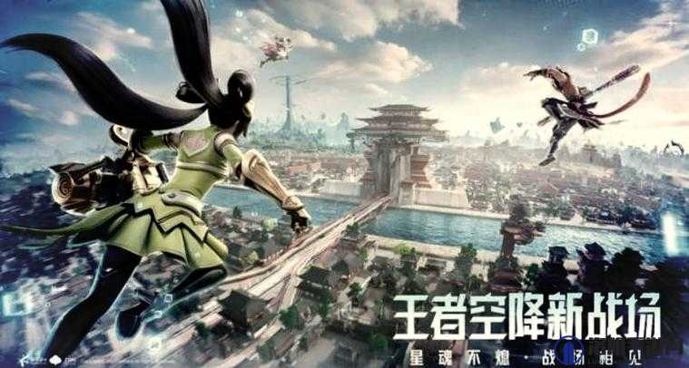 单机插云缨模拟器游戏:深度体验与玩法攻略,带你掌握全新战斗技巧与策略