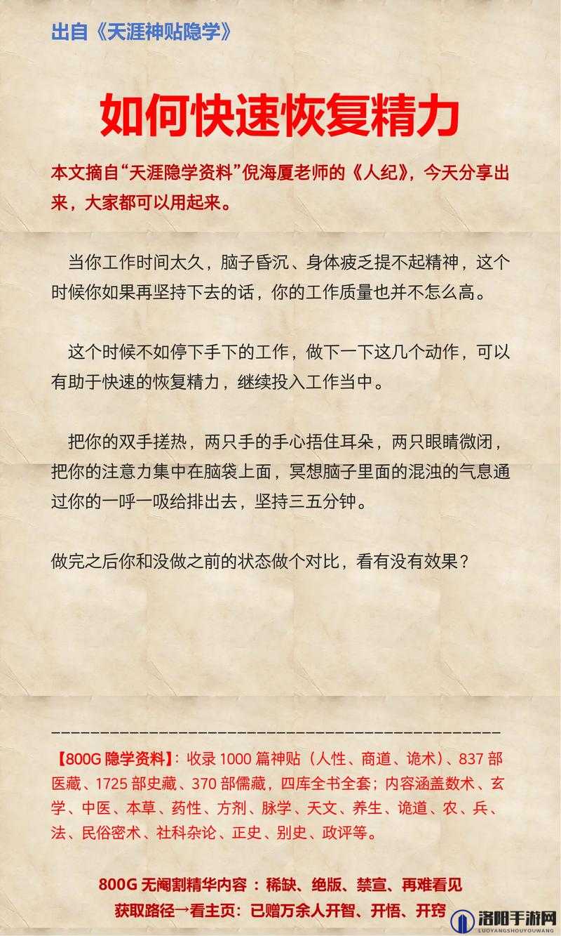 如何保持精力旺盛？中字告诉你答案