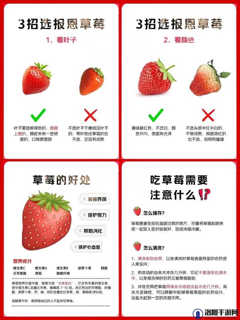 草莓视频旧版下载相关问题解答，如何获取草莓视频旧版？赶紧来看