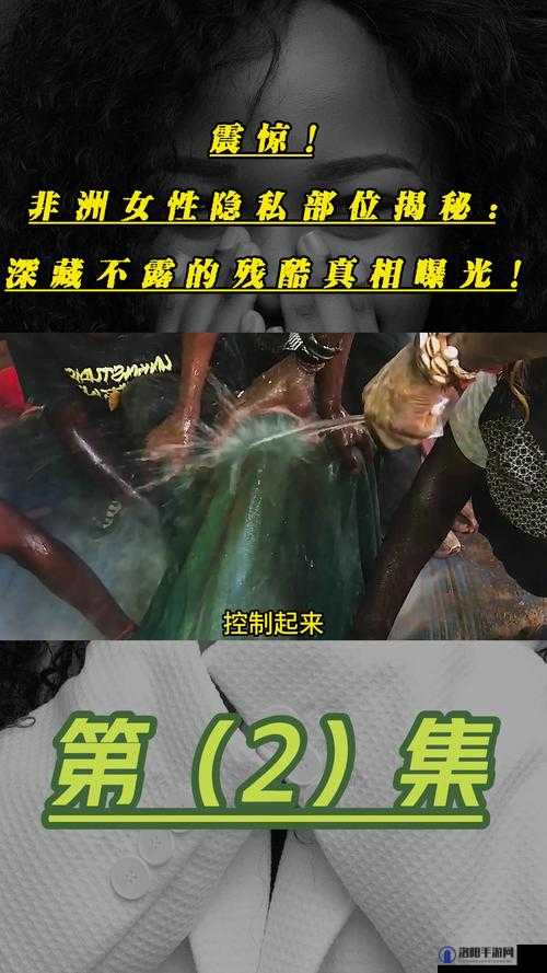 91成品人网爆黑料：揭秘背后真相，用户隐私泄露事件引发全网热议