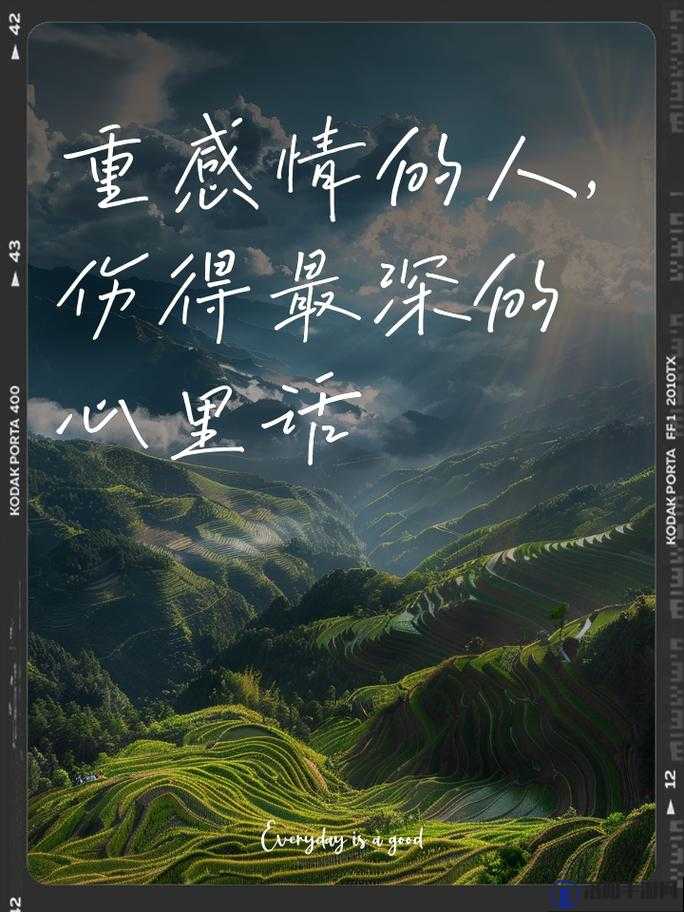 为什么深爱的人伤最深？揭秘情感中的伤害与治愈之道
