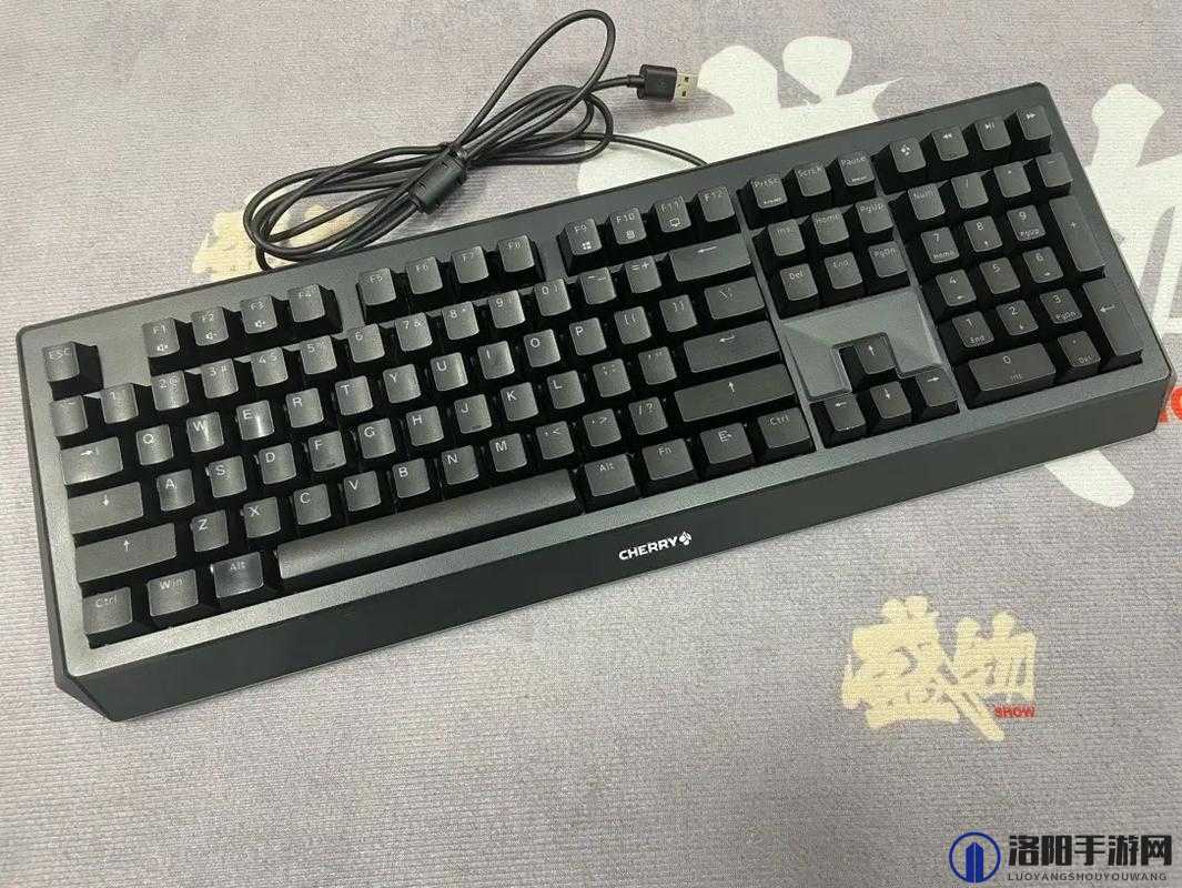 探索樱桃cherry官网最新产品与技术,了解樱桃cherry键盘的创新设计与卓越性能