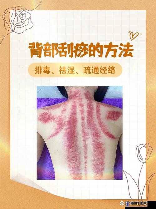 不朽之旅最强刮痧流怎么玩，最强刮痧流玩法攻略