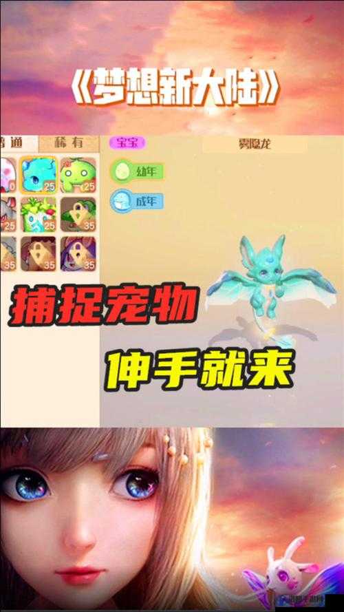 梦想新大陆宠物怎么获得，宠物获取攻略