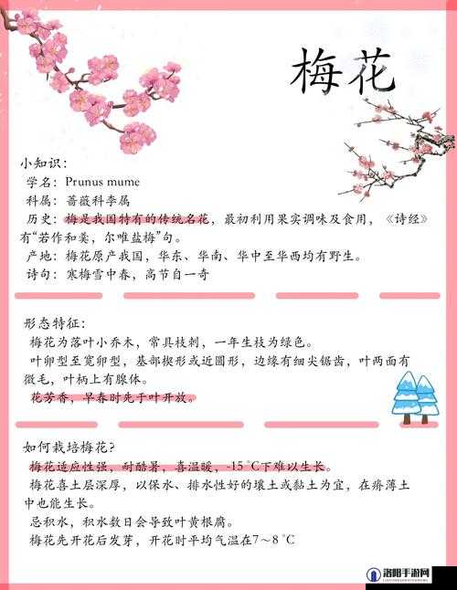 江南百景图梅花枝怎么得，梅花枝获取方式详解