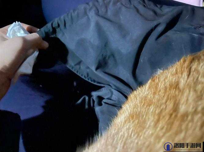 受不了了喷水了别摸了究竟是什么意思？引发众人好奇与热议