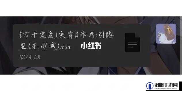 想知道哪里可以实现里面也请好好宠爱免费观看吗？快来这里找答案