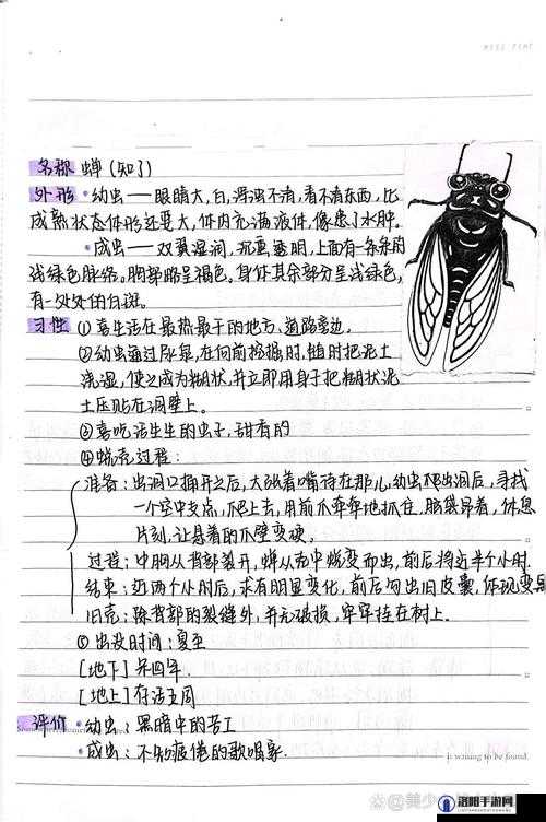 悠长假期怎么捕蝉？捕蝉小技巧分享