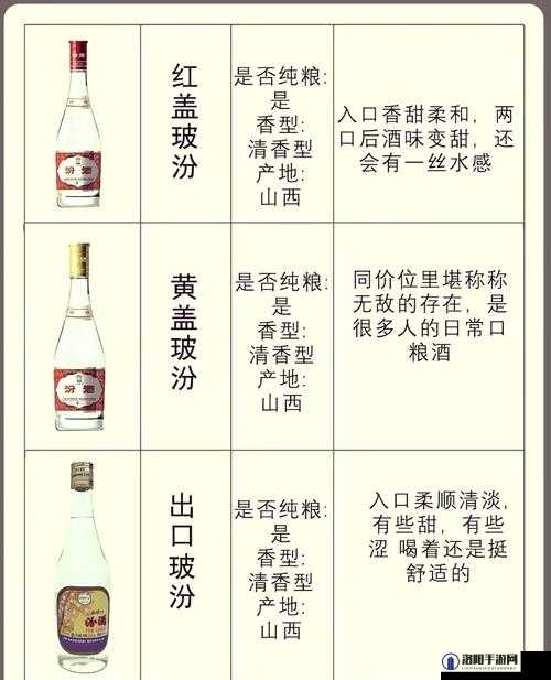 37大但人文但汾company究竟是什么？它有怎样的独特之处与影响力？