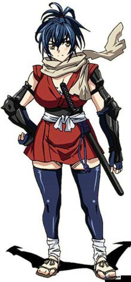 魔乳秘剑帖到底有何独特魅力？这部日本动漫为何如此吸引人？