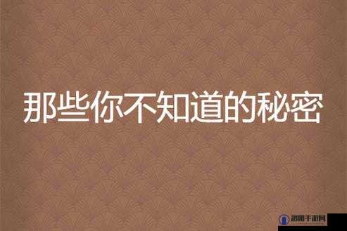 独家爆料：黑料网揭露的那些不为人知的秘密