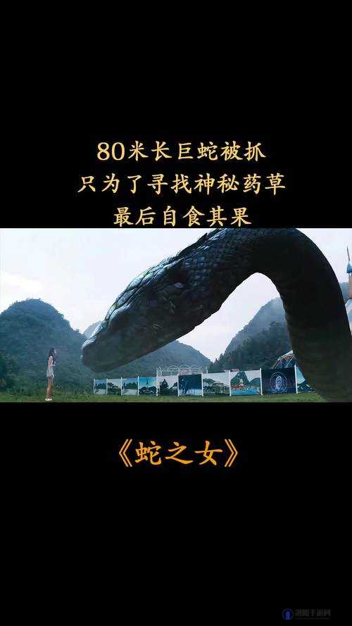 下一站江湖通天草寻觅记，解锁神秘药草的获取之道
