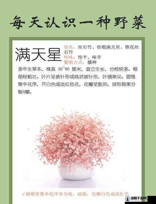 满天星三部高压究竟是什么？有何特别之处？探秘满天星三部高压的神秘世界