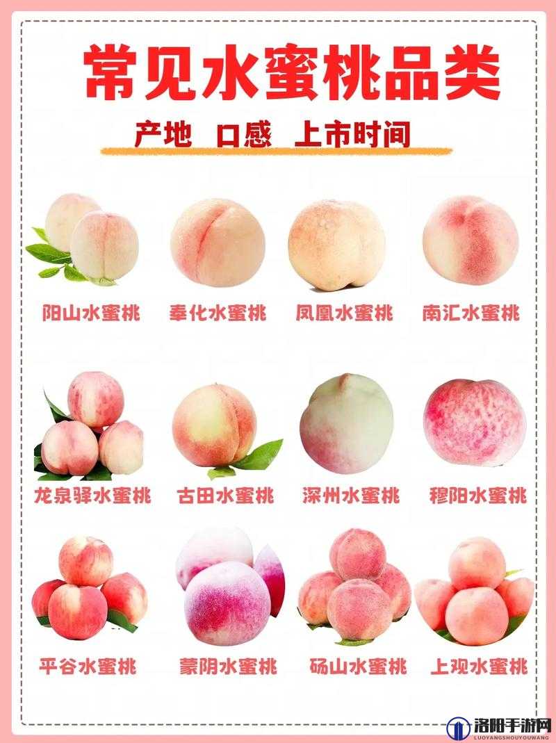 为什么国精产品水蜜桃网站如此受欢迎？它有哪些独特之处？