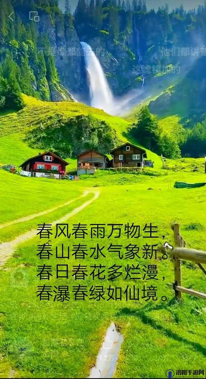 直播春雨到底有何独特魅力？快来一起感受这场春雨直播的奇妙之处