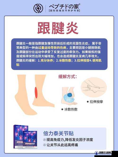 小腿太细对健康不利的原因有哪些？专家解析潜在风险与预防措施