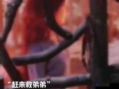 女子被狗锁脖子,挣扎中大声呼救,现场视频令人揪心