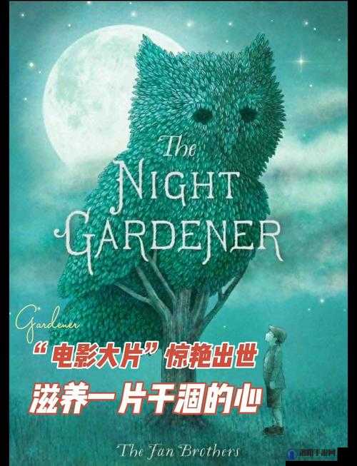 探索午夜成年人片400：深度解析经典影片背后的故事与影响