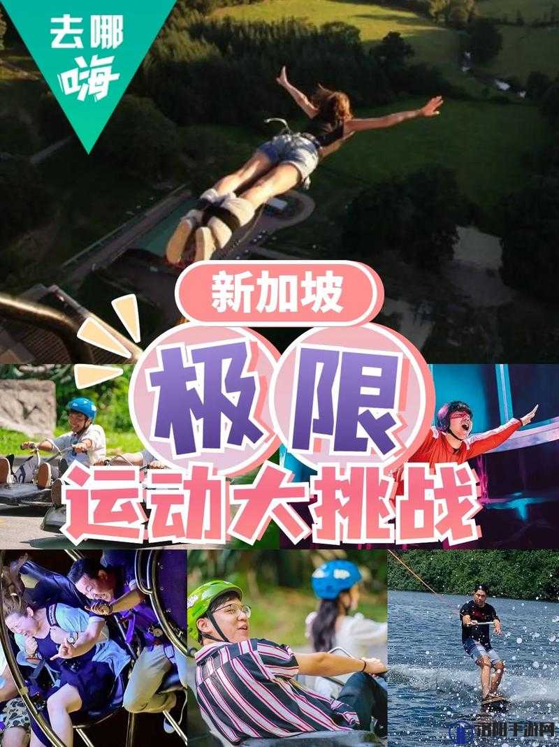 寸止挑战8官网全新上线：探索极限运动的新高度，体验前所未有的刺激与挑战