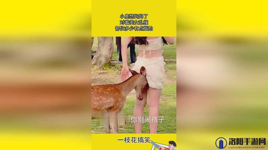 如何看待 6 年级小馒头事件？