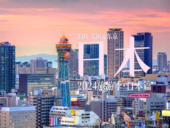 2024 年日本人文艺术欣赏：从传统到现代的魅力之旅