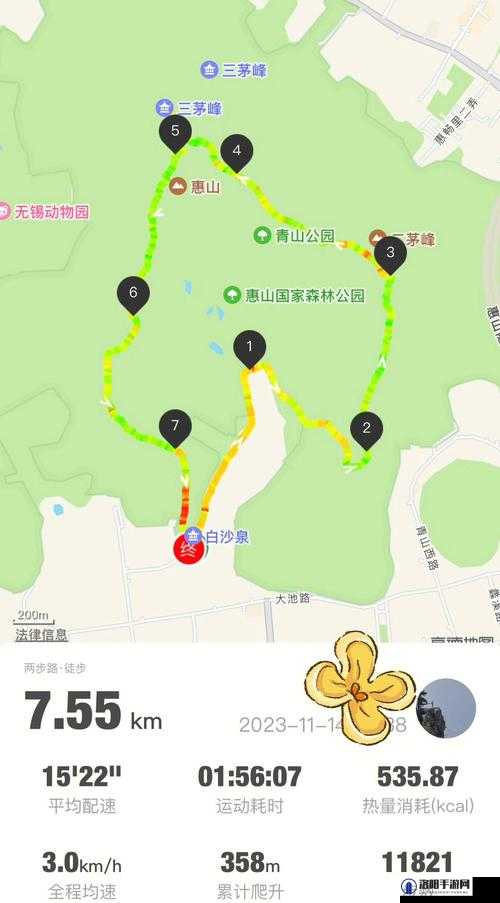 探索爱情岛❤️VIP永久入口线路：如何轻松解锁独家内容与隐藏功能？