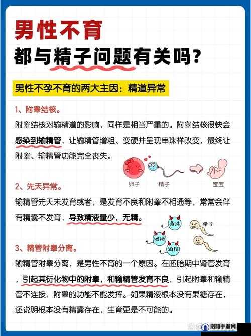 精子少到底能不能生孩子?专业解读与真实案例告诉你答案