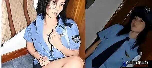 2008修电脑1400张资源究竟是什么？为何引发众人关注与热议？