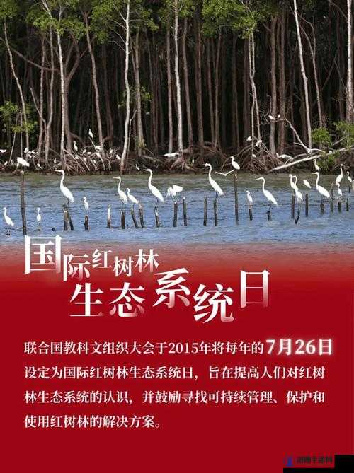 探索chinese树林性BBW的独特魅力：自然与文化的完美交融